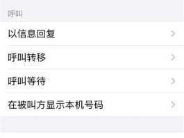 怎么用网络电话拨打国外电话呢苹果