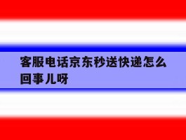 包含客服电话京东秒送快递怎么回事儿呀的词条