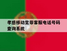 孝感移动宽带客服电话号码查询系统