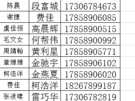 哪个网络电话可以不显示自己号码的名字
