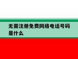 无需注册免费网络电话号码是什么