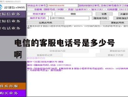 电信的客服电话号是多少号啊