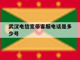 包含武汉电信宽带客服电话是多少号的词条