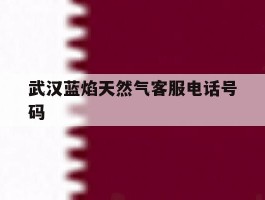 武汉蓝焰天然气客服电话号码