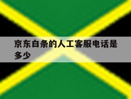 京东白条的人工客服电话是多少