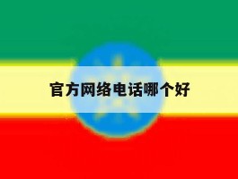 官方网络电话哪个好
