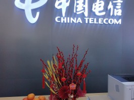 武汉电信客服电话号码多少