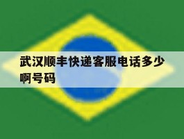 武汉顺丰快递客服电话多少啊号码