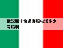 武汉顺丰快递客服电话多少号码啊