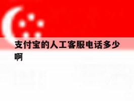 支付宝的人工客服电话多少啊
