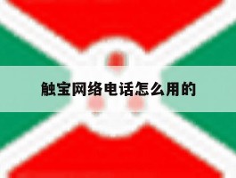 触宝网络电话怎么用的