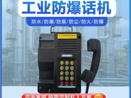 可以免费打电话的网络电话有哪些呢英语