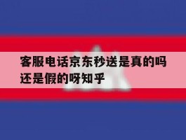 包含客服电话京东秒送是真的吗还是假的呀知乎的词条
