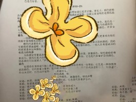 关于香港电话前面加什么号才能拨通呢英语翻译的信息
