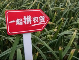 拼多多商家客服电话24小时人工投诉热线