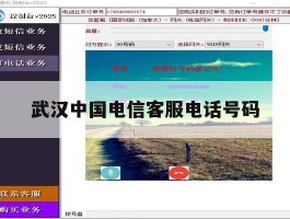 武汉中国电信客服电话号码