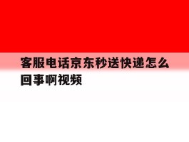 客服电话京东秒送快递怎么回事啊视频