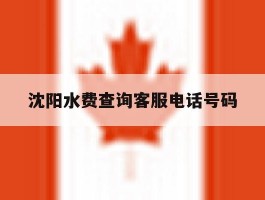 沈阳水费查询客服电话号码