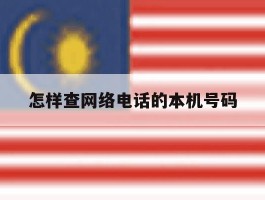 怎样查网络电话的本机号码