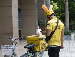 美团外卖商家客服电话人工服务