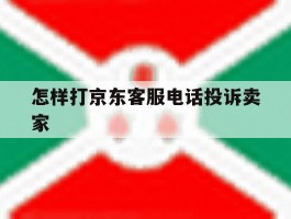 怎样打京东客服电话投诉卖家