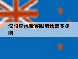 沈阳查水费客服电话是多少啊