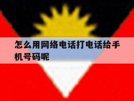 怎么用网络电话打电话给手机号码呢