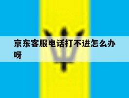 包含京东客服电话打不进怎么办呀的词条