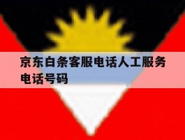 京东白条客服电话人工服务电话号码