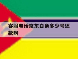 客服电话京东白条多少号还款啊