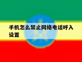 手机怎么禁止网络电话呼入设置