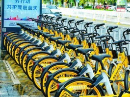 美团单车人工客服电话怎么联系