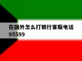 在国外怎么打银行客服电话95599