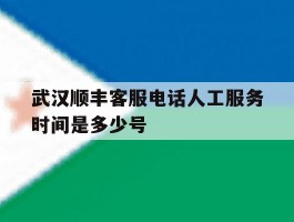 武汉顺丰客服电话人工服务时间是多少号