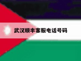 武汉顺丰客服电话号码