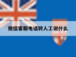 微信客服电话转人工说什么