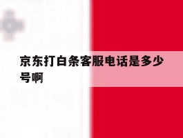 京东打白条客服电话是多少号啊