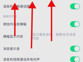 抖音打电话没有提示怎么回事啊苹果版