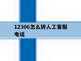 12306怎么转人工客服电话